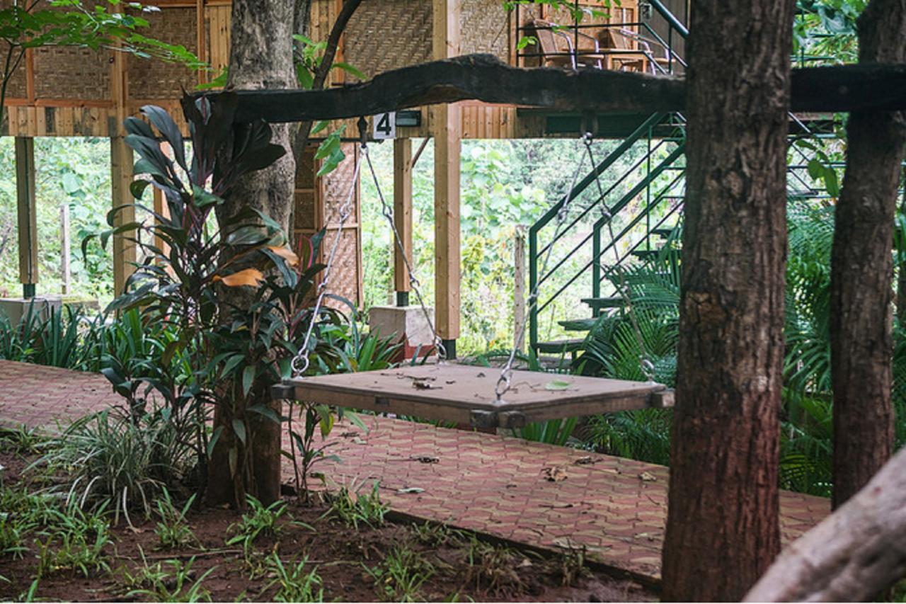 Nature Trails Sajan, Vikramgad Kudān المظهر الخارجي الصورة